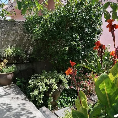 Hébergement de vacances Casa Do Pescador Machico (Madeira)