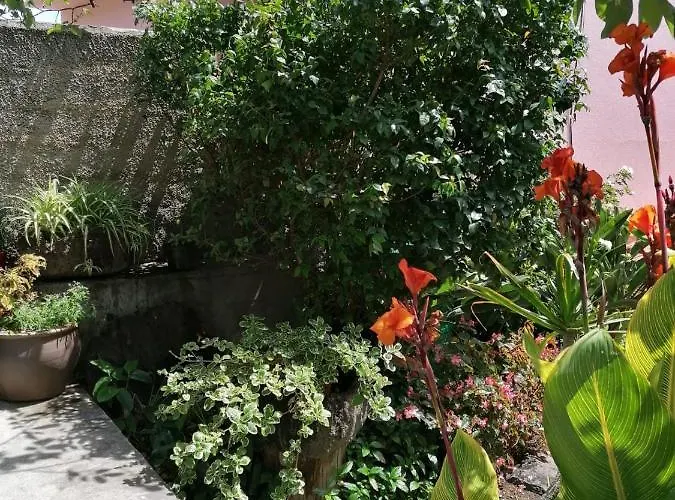 度假居 Casa Do Pescador 马希库