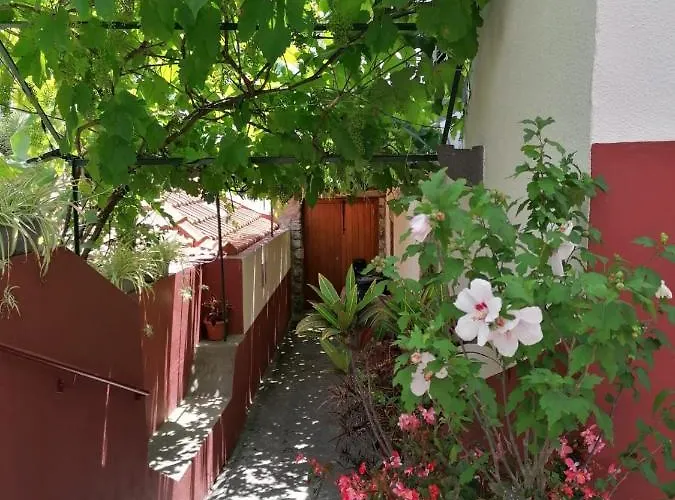 Casa Do Pescador 度假居 *