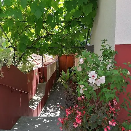 Casa Do Pescador Σπίτι διακοπών *