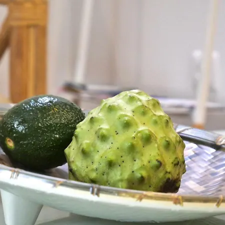 Σπίτι διακοπών Casa Do Pescador Machico (Madeira)